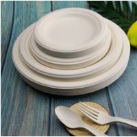 10pcs Compostable Paper Plates, 