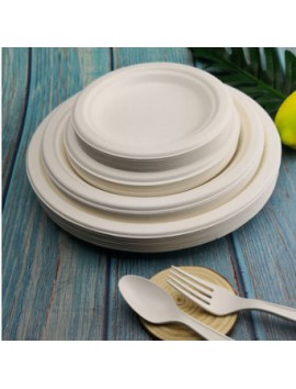 10pcs Compostable Paper Plates, 