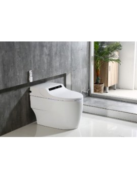 Smart Toilet